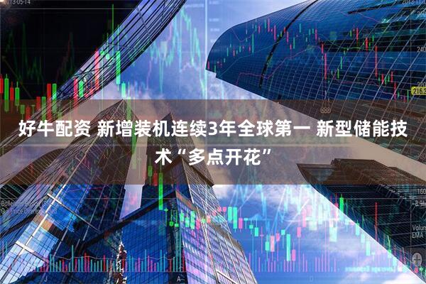 好牛配资 新增装机连续3年全球第一 新型储能技术“多点开花”