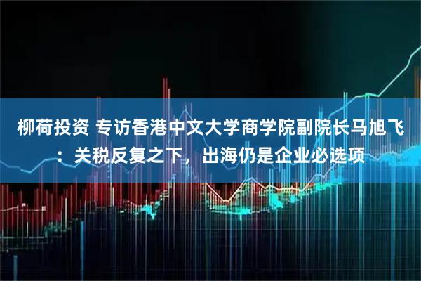 柳荷投资 专访香港中文大学商学院副院长马旭飞：关税反复之下，出海仍是企业必选项
