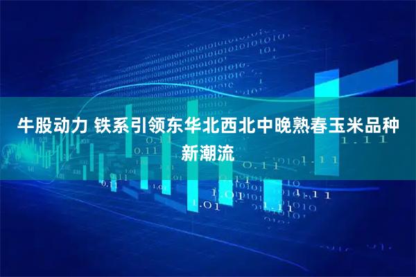 牛股动力 铁系引领东华北西北中晚熟春玉米品种新潮流