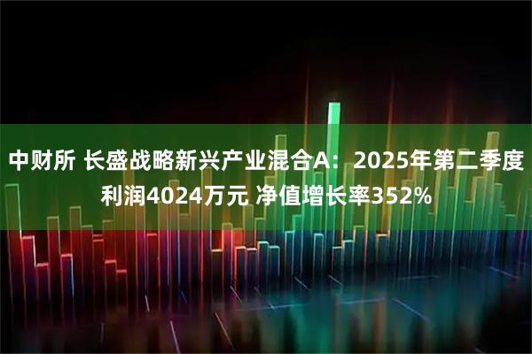 中财所 长盛战略新兴产业混合A：2025年第二季度利润4024万元 净值增长率352%
